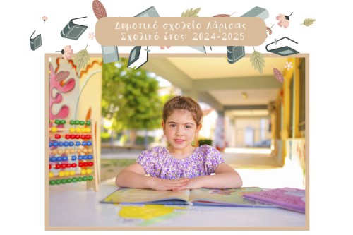 μαξιλαριαZ-01