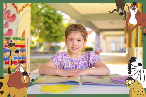 μαξιλαριαZ-06